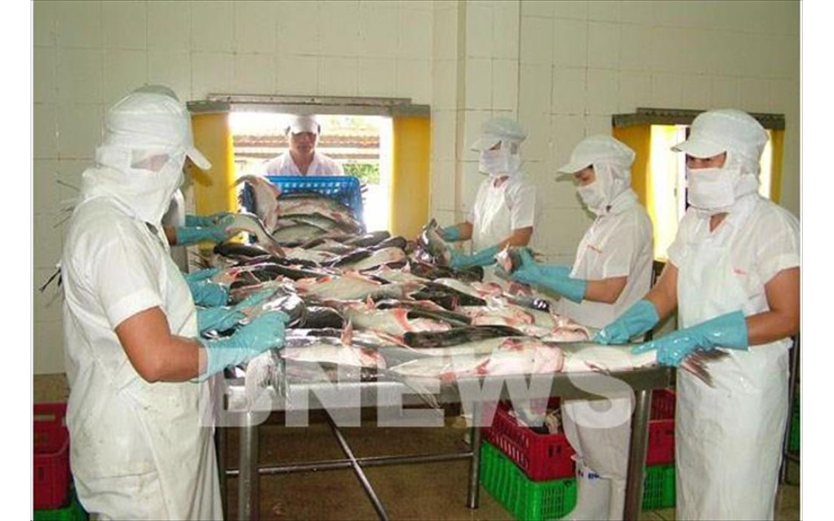 Dự b&aacute;o nhu cầu ti&ecirc;u thụ thuỷ sản sẽ phục hồi mạnh mẽ